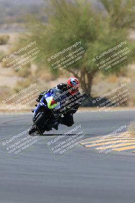 media/May-14-2023-SoCal Trackdays (Sun) [[024eb53b40]]/Turn 5 Tree of Life (1125am)/